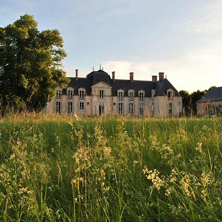 Chateau La Touanne Loire Valley バコン エクステリア 写真