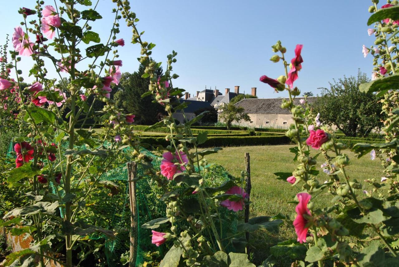 Chateau La Touanne Loire Valley バコン エクステリア 写真