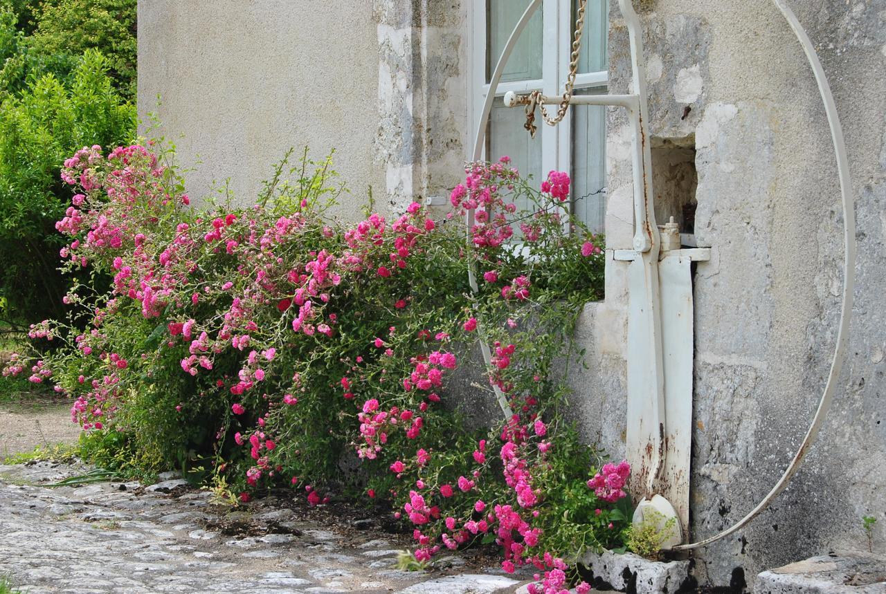 Chateau La Touanne Loire Valley バコン エクステリア 写真