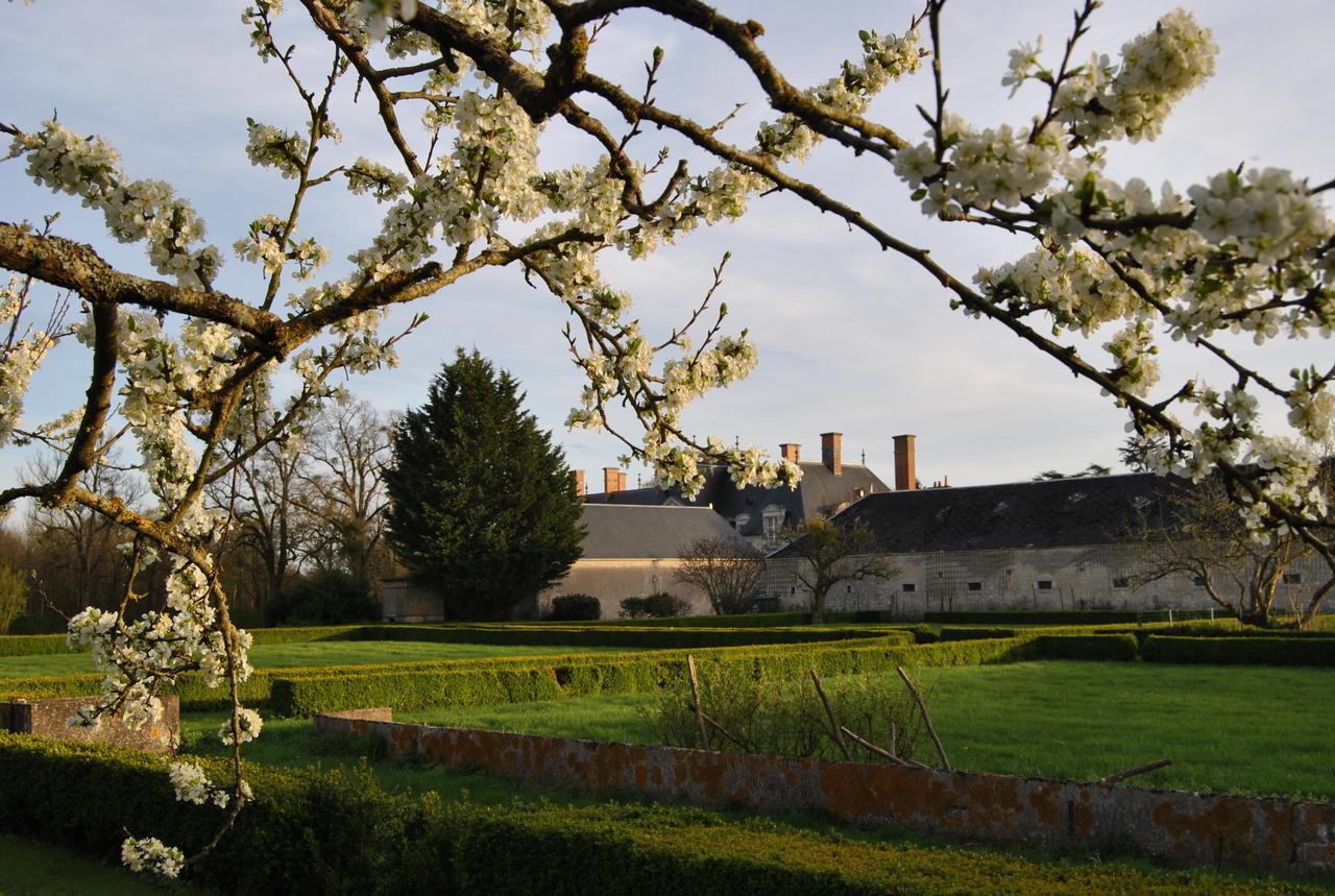 Chateau La Touanne Loire Valley バコン エクステリア 写真