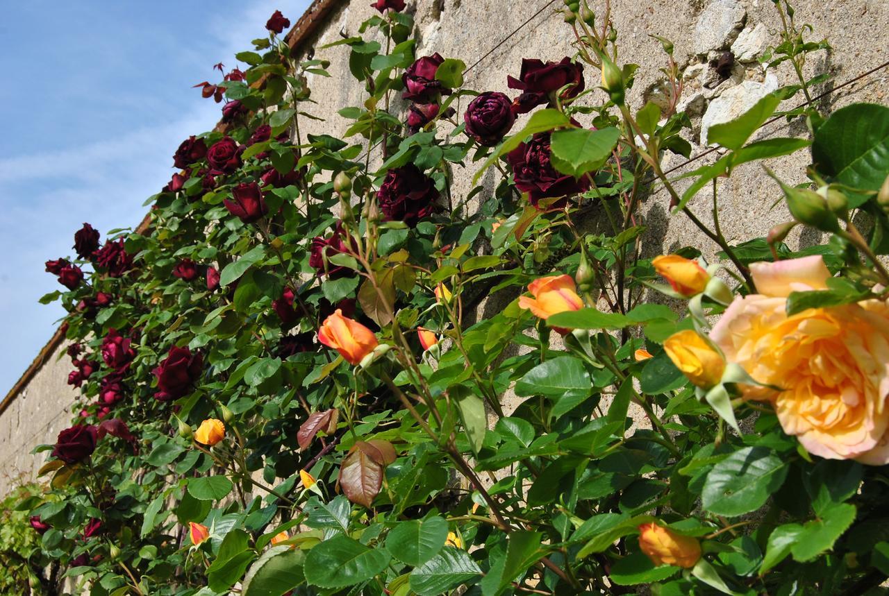 Chateau La Touanne Loire Valley バコン エクステリア 写真