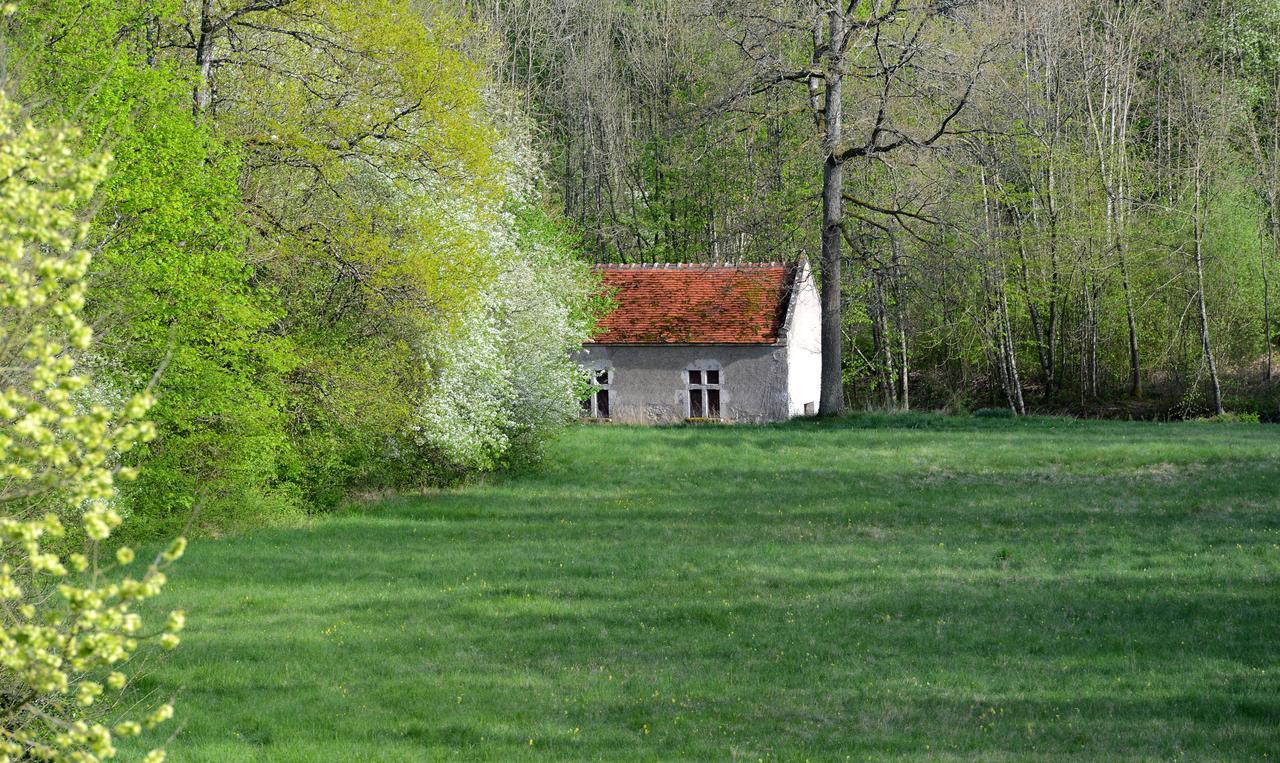 Chateau La Touanne Loire Valley バコン エクステリア 写真